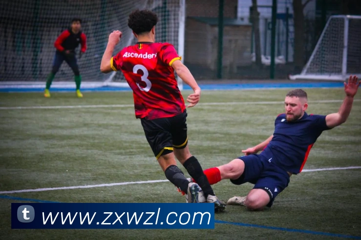 尊龙凯时平台生态图